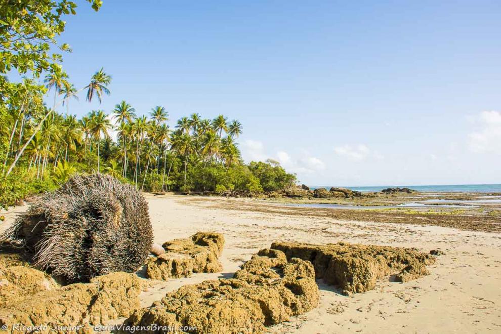 Imagem da Praia de Tassimirm que encanta por tanta beleza e águas límpidas.